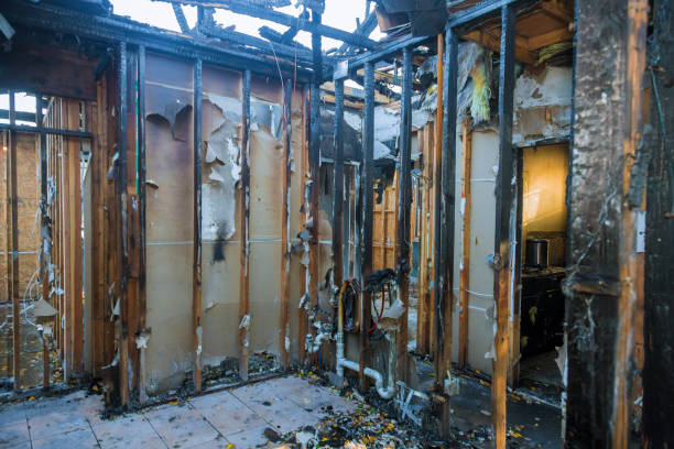 Professional Fire Damage Removal technician working in Hudson, TX
